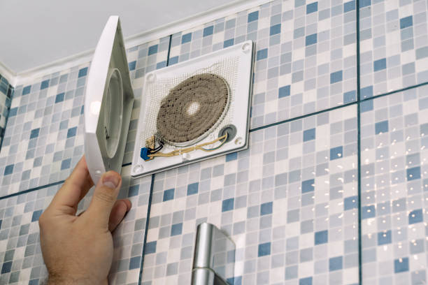 Best Air Duct Mold Removal  in Pikeville, TN