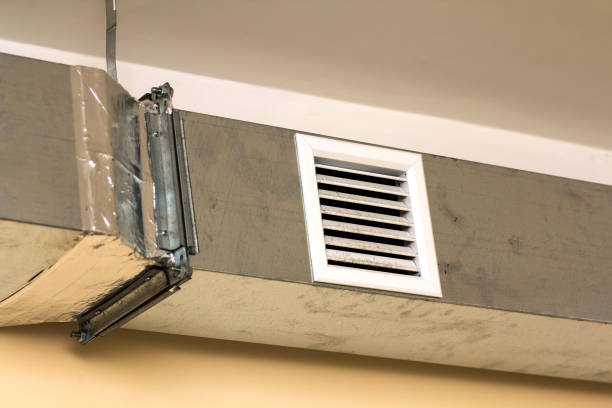 Best HVAC Duct Inspection Services  in Pikeville, TN